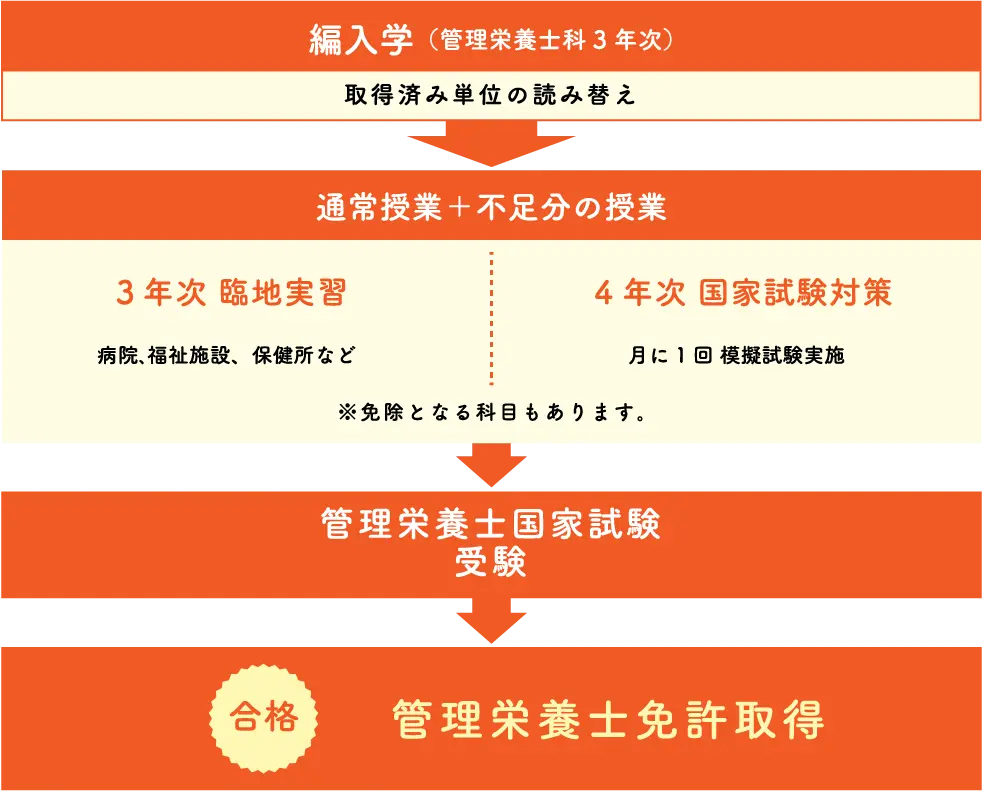 管理栄養士取得までのスケジュール