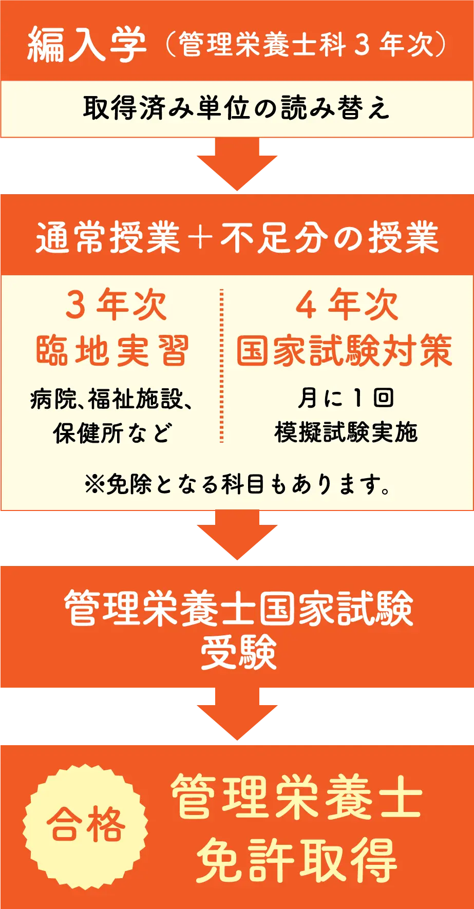 管理栄養士取得までのスケジュール