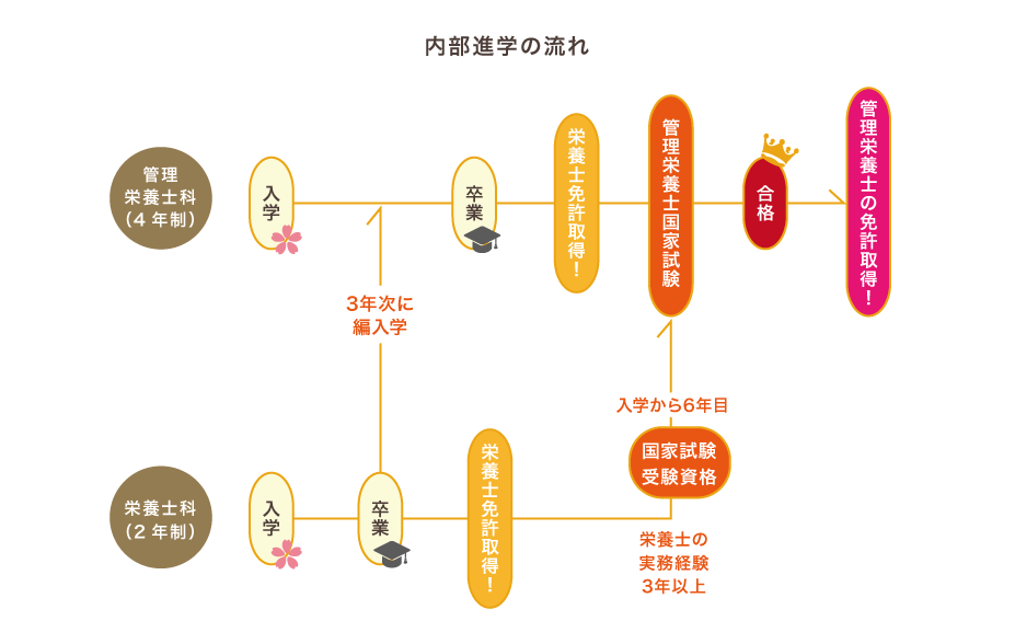 内部進学の流れ